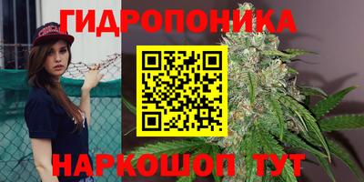 СК Заволжье