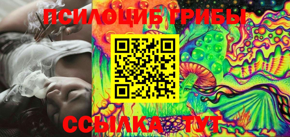 Галлюциногенные грибы Psilocybe Ярцево