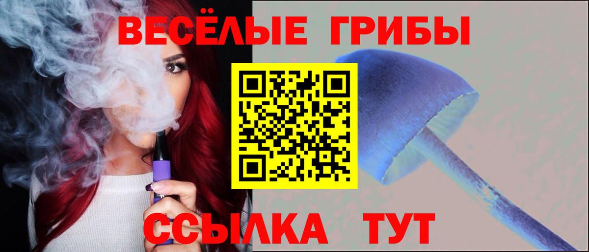 продажа наркотиков  Псилоцибиновые грибы мицелий  Вход с VPN  Ярцево  Галлюциногенные грибы Cubensis 